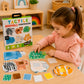Animales Táctiles Montessori - Headu
