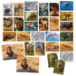 Memorice Animales 108 Piezas - Headu