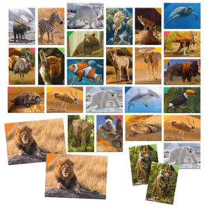 Memorice Animales 108 Piezas - Headu