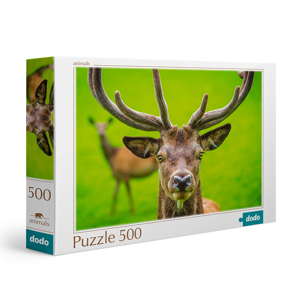 Puzzle Ciervo 500 Piezas - DoDo